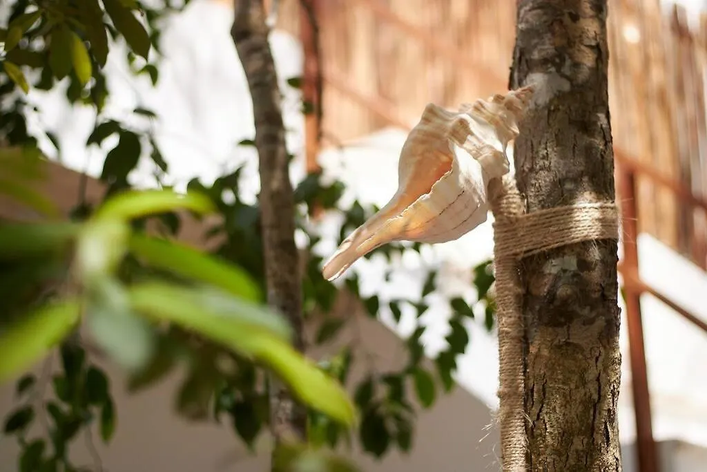 Luxury&Nature Villa Rosita Tulum/ Work&Rest Spaces